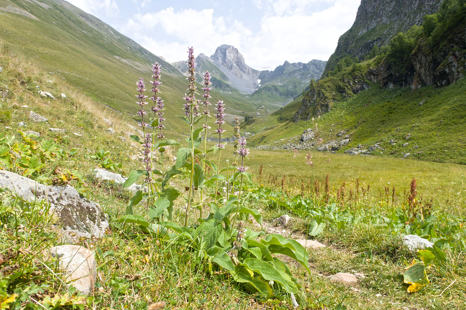 Долина реки Загедан, image of landscape/habitat.