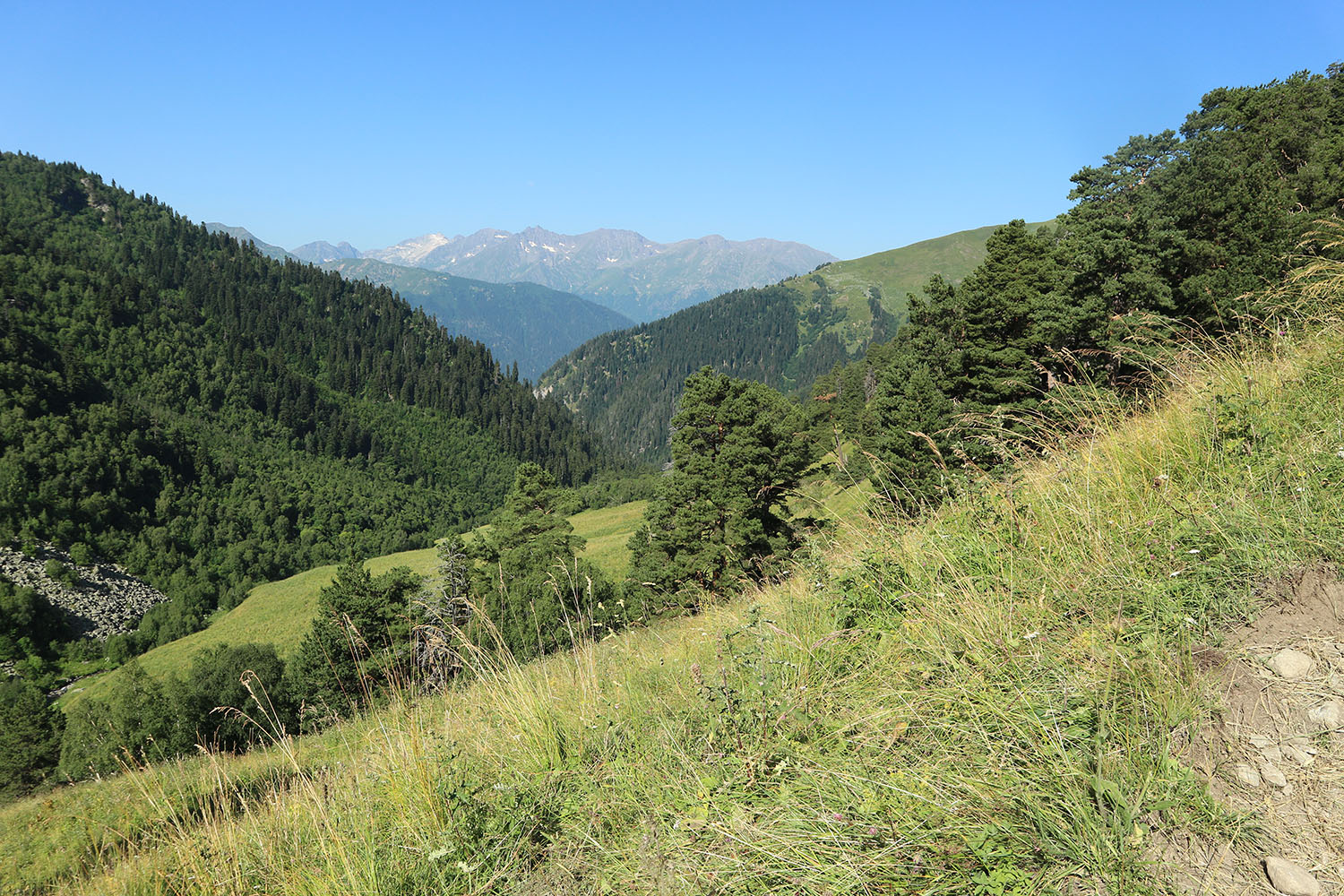 Долина реки Загедан, image of landscape/habitat.