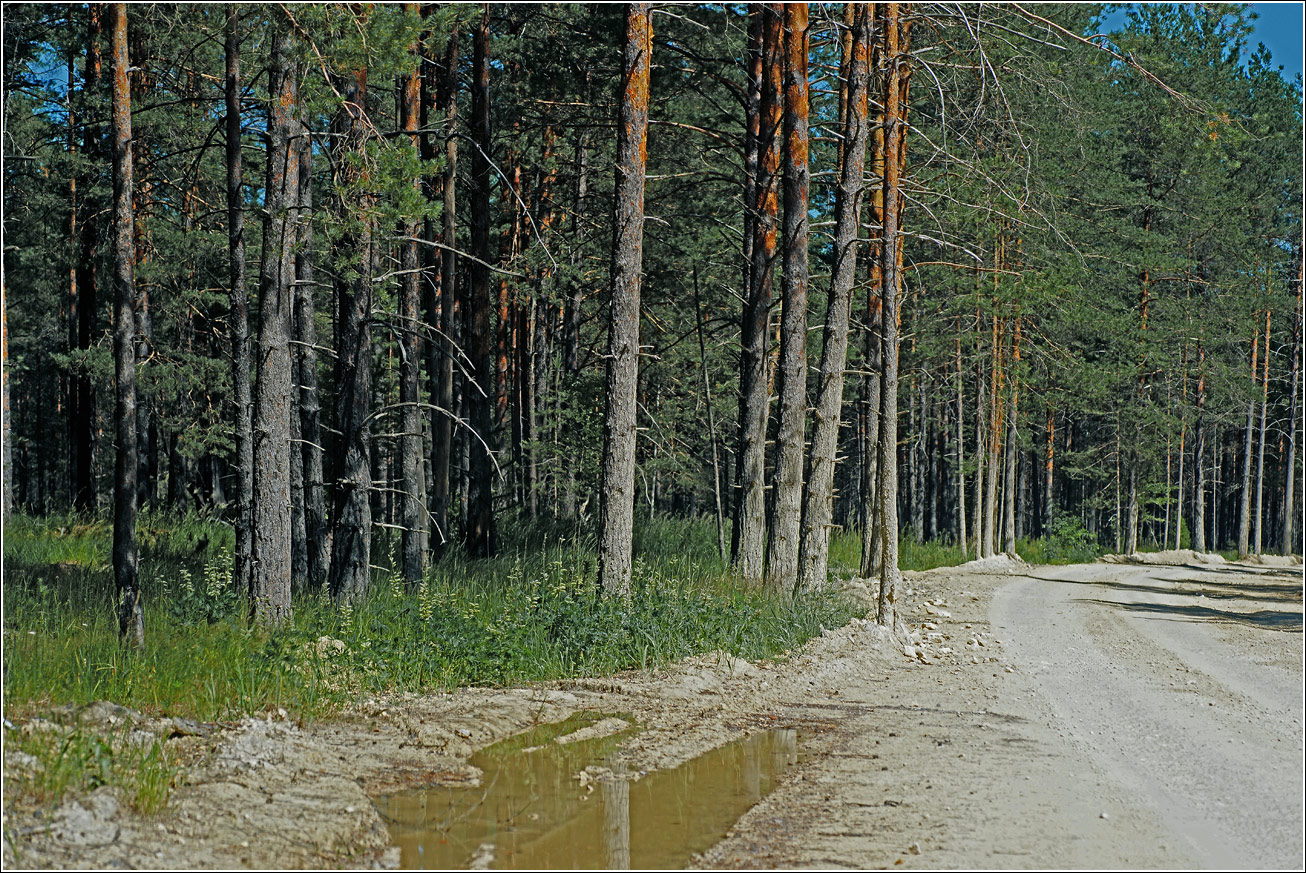 Митино, image of landscape/habitat.