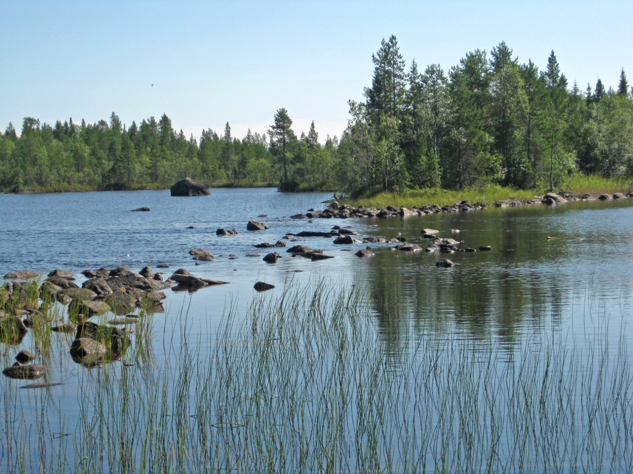 Нильмогуба и окрестности, image of landscape/habitat.