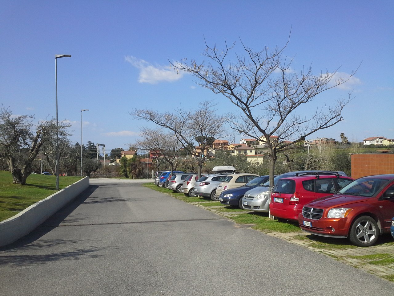 Frascati (Rome), image of landscape/habitat.