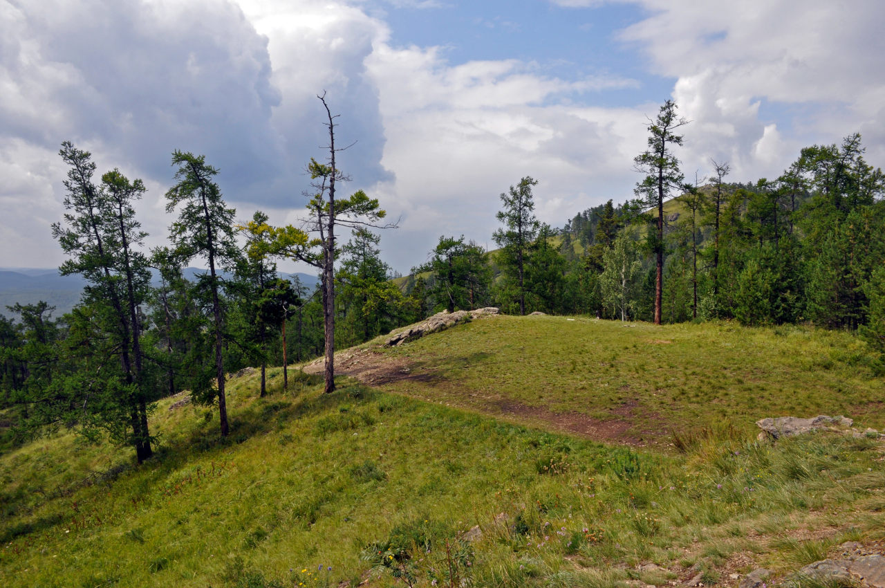 Гора Сугомак, image of landscape/habitat.