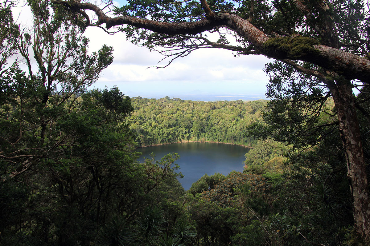 Янтарная гора, image of landscape/habitat.