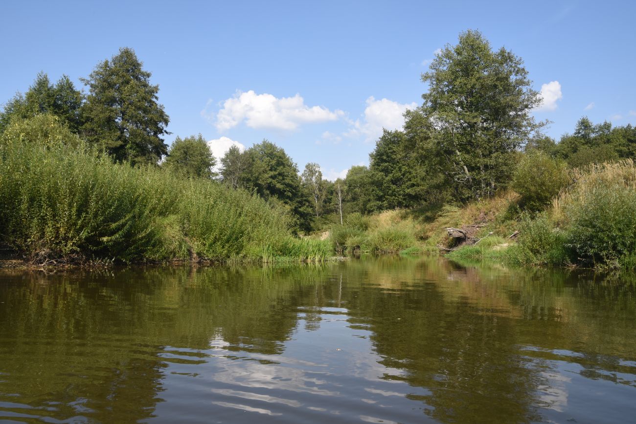 Устье безымянного ручья, image of landscape/habitat.