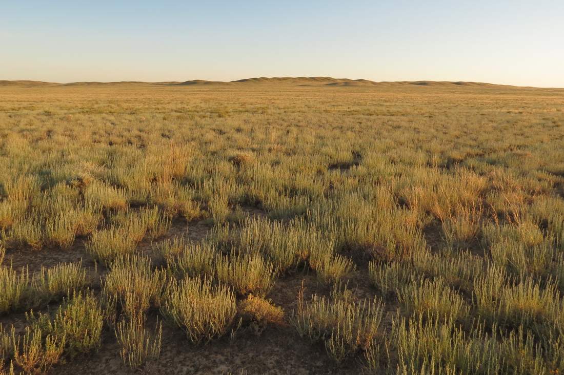 Горы Кугунь, image of landscape/habitat.