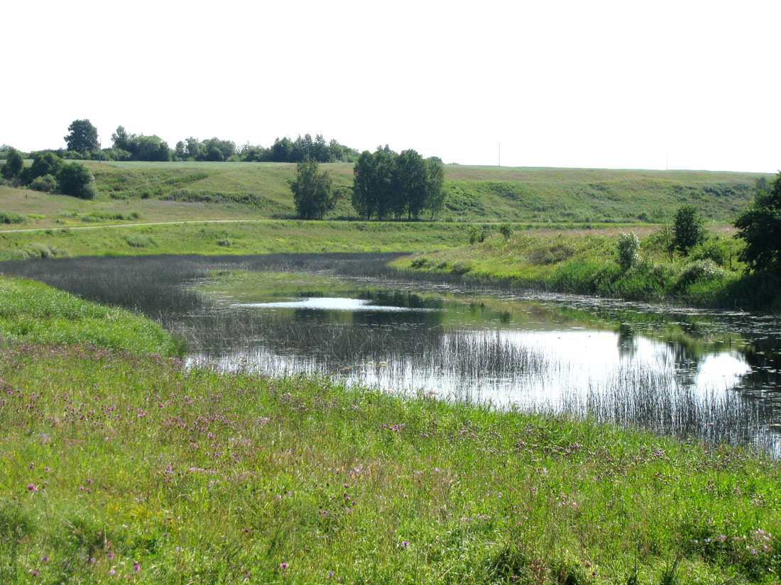 Корожечна у Спасского, image of landscape/habitat.