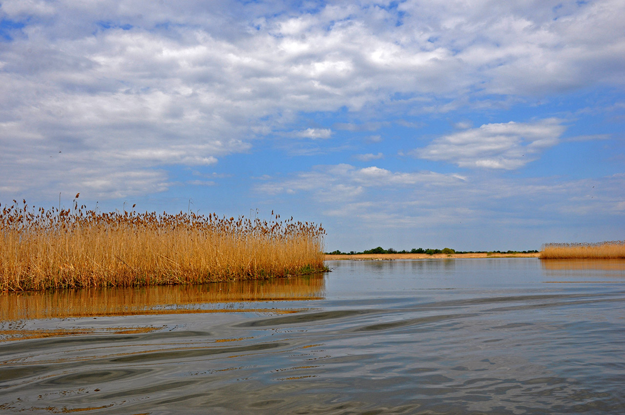 Астраханский заповедник (Дамчик), image of landscape/habitat.