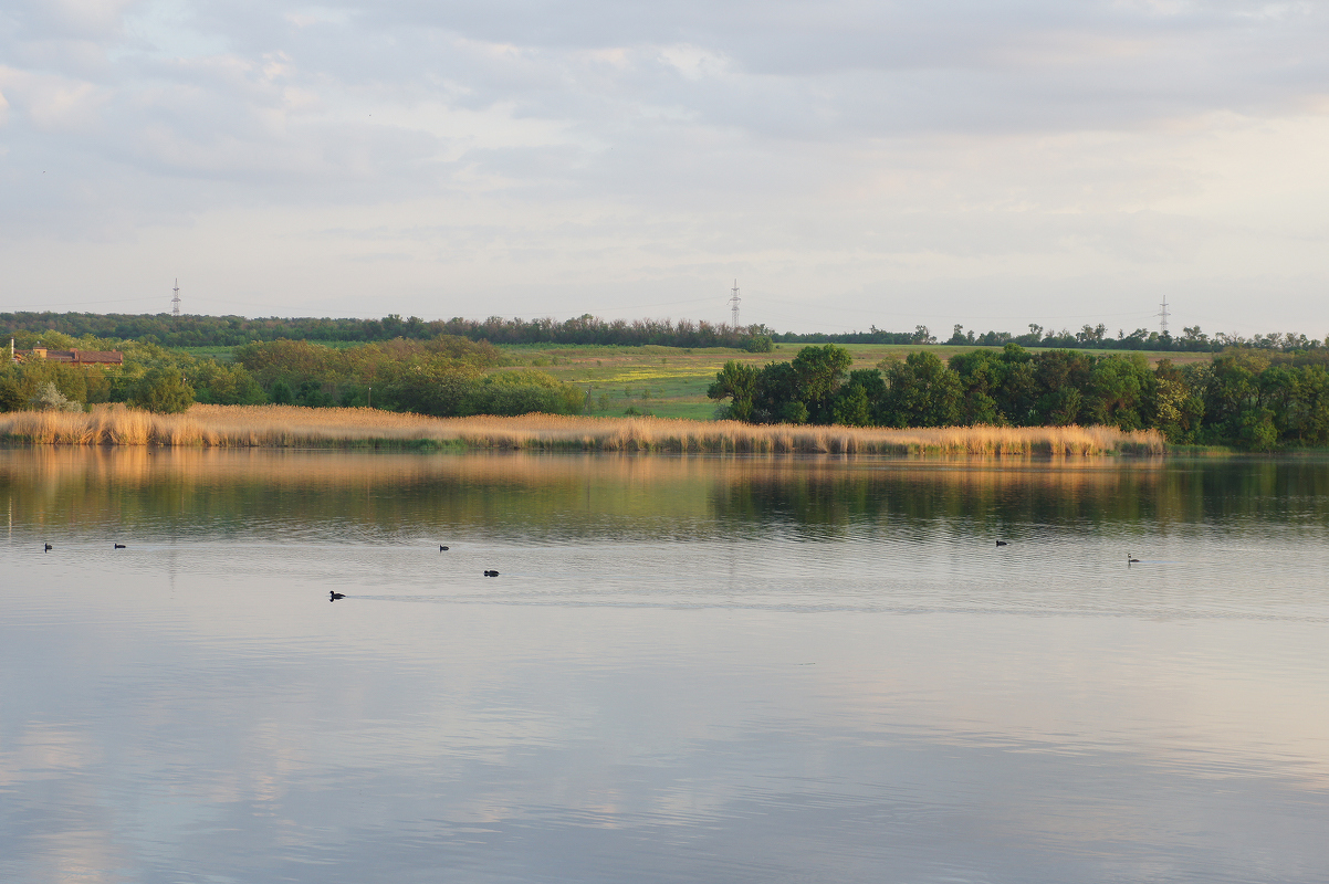 Пруд Кирша и окрестности, image of landscape/habitat.