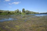 Грибоедово, image of landscape/habitat.