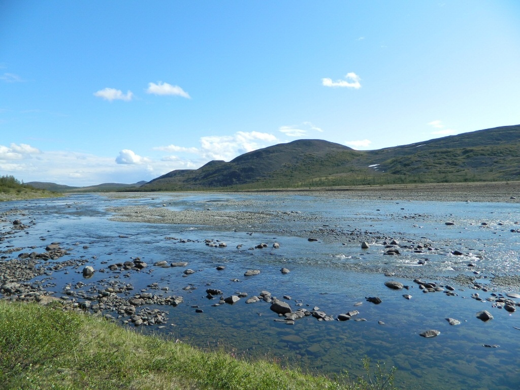 Малая Лагорта, image of landscape/habitat.