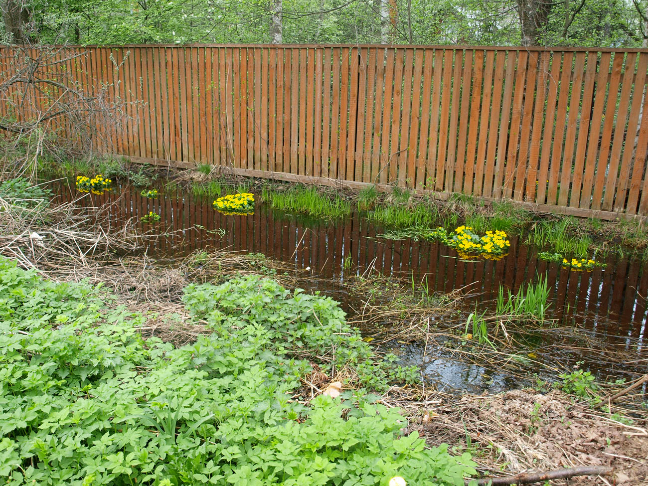 Поселок Ильинский и окрестности, image of landscape/habitat.