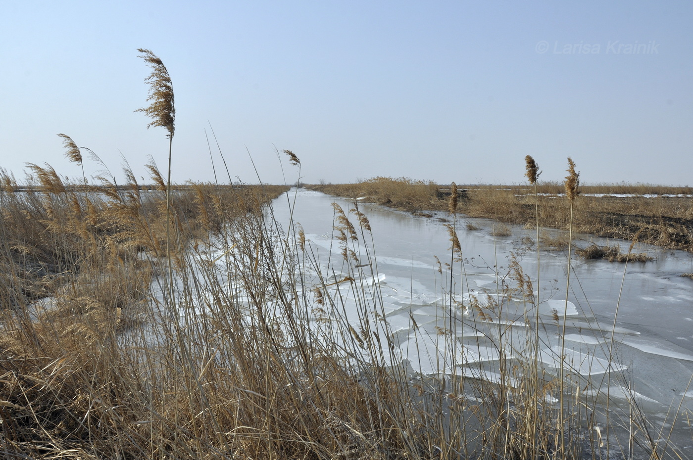 Окрестности Новосельского, image of landscape/habitat.