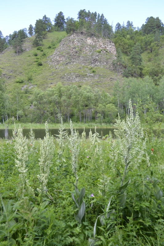 Усть-Стрелка и село Покровка, image of landscape/habitat.