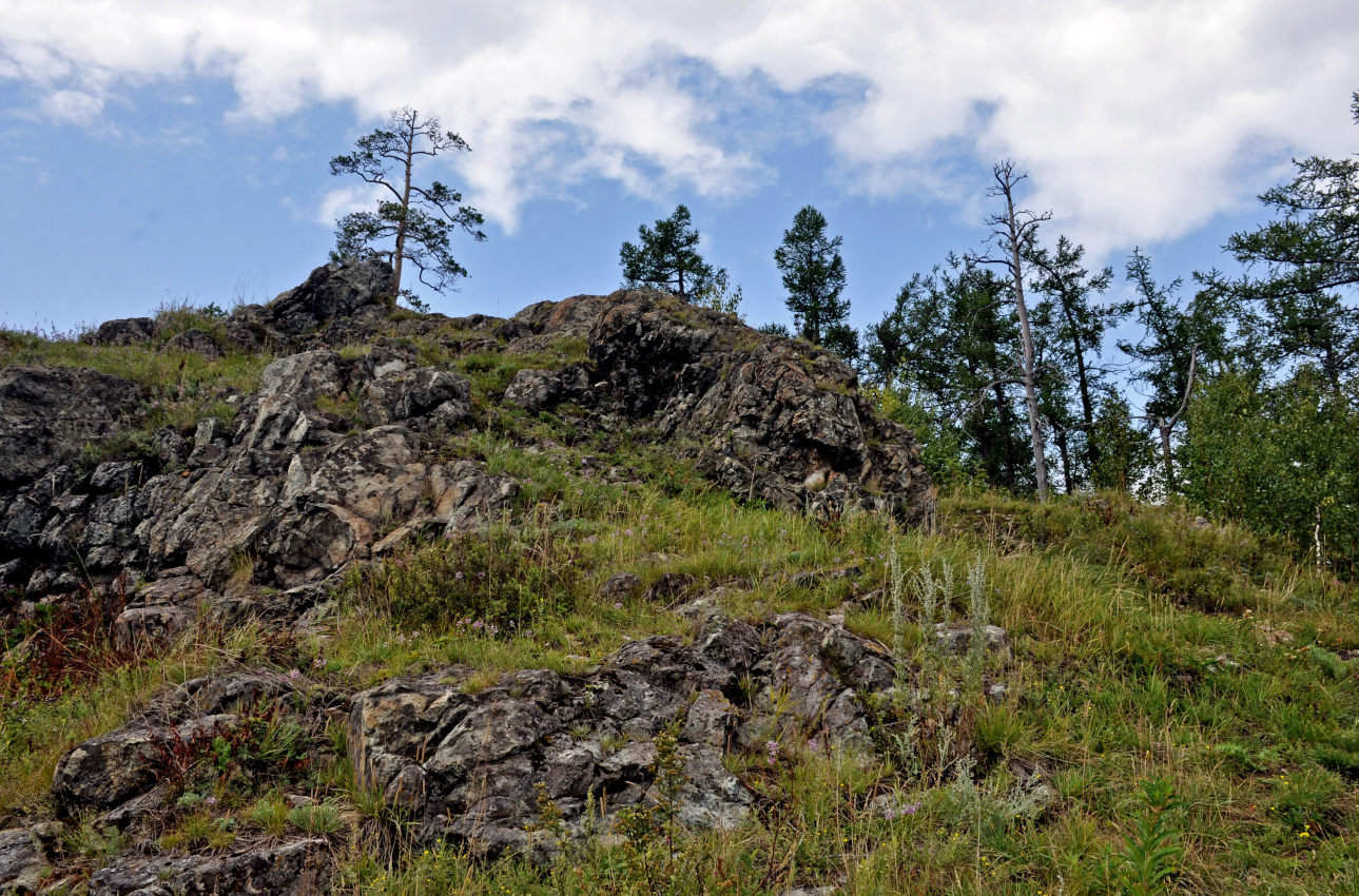 Гора Сугомак, image of landscape/habitat.