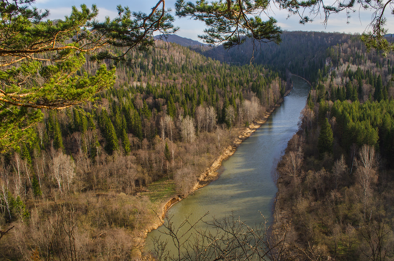 Окрестности горы Мамбет, image of landscape/habitat.