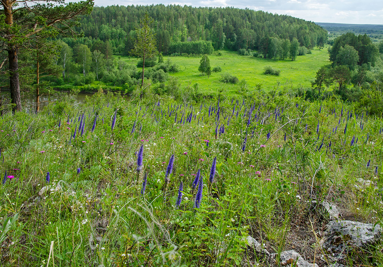 Перевоз, image of landscape/habitat.