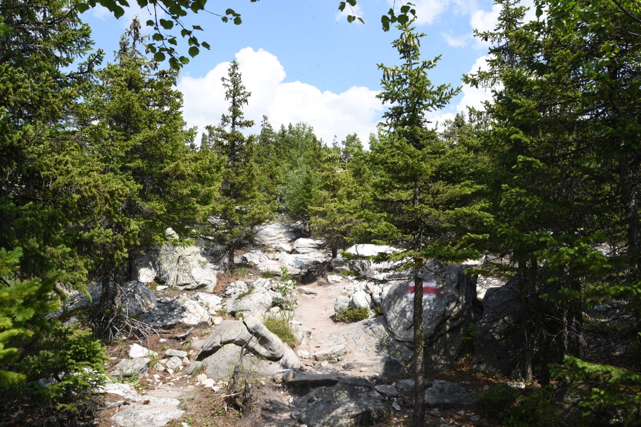 Урочище Долина Сказок, image of landscape/habitat.