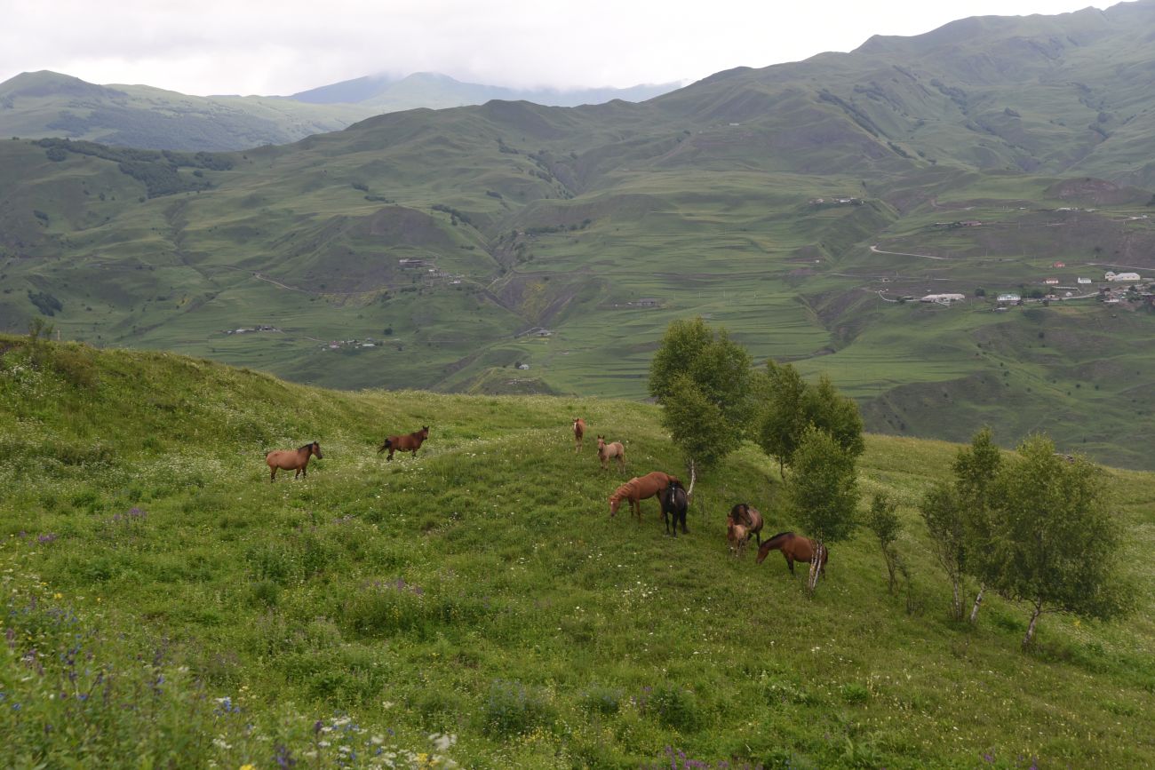 Хакмадой, image of landscape/habitat.