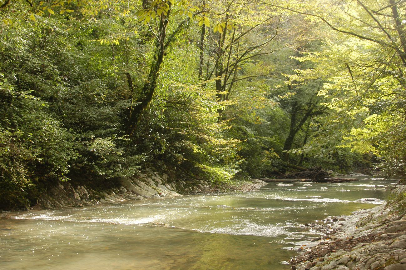 Долина реки Агура, image of landscape/habitat.