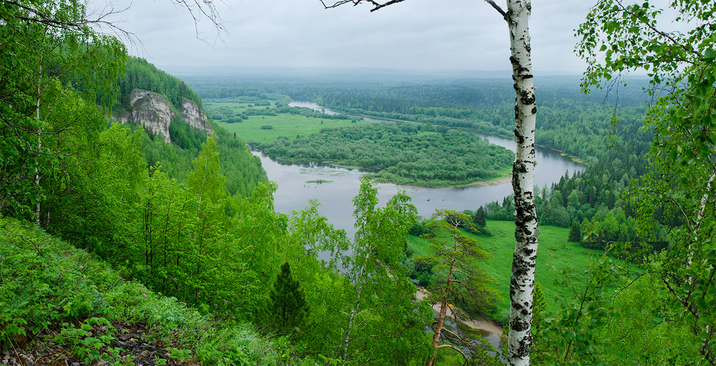 Окрестности урочища Тихий камень, image of landscape/habitat.