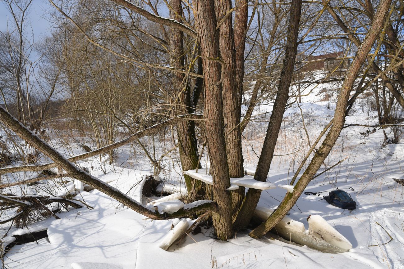 Окрестности деревни Дедюевка, image of landscape/habitat.