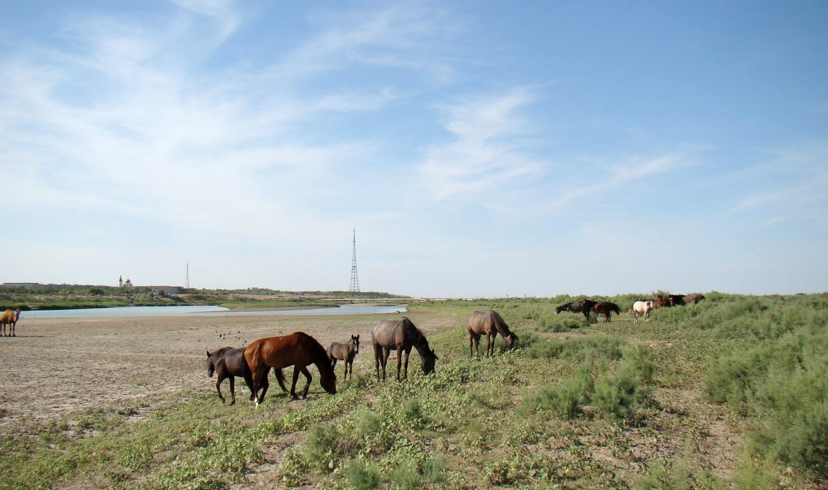 Байконур, image of landscape/habitat.