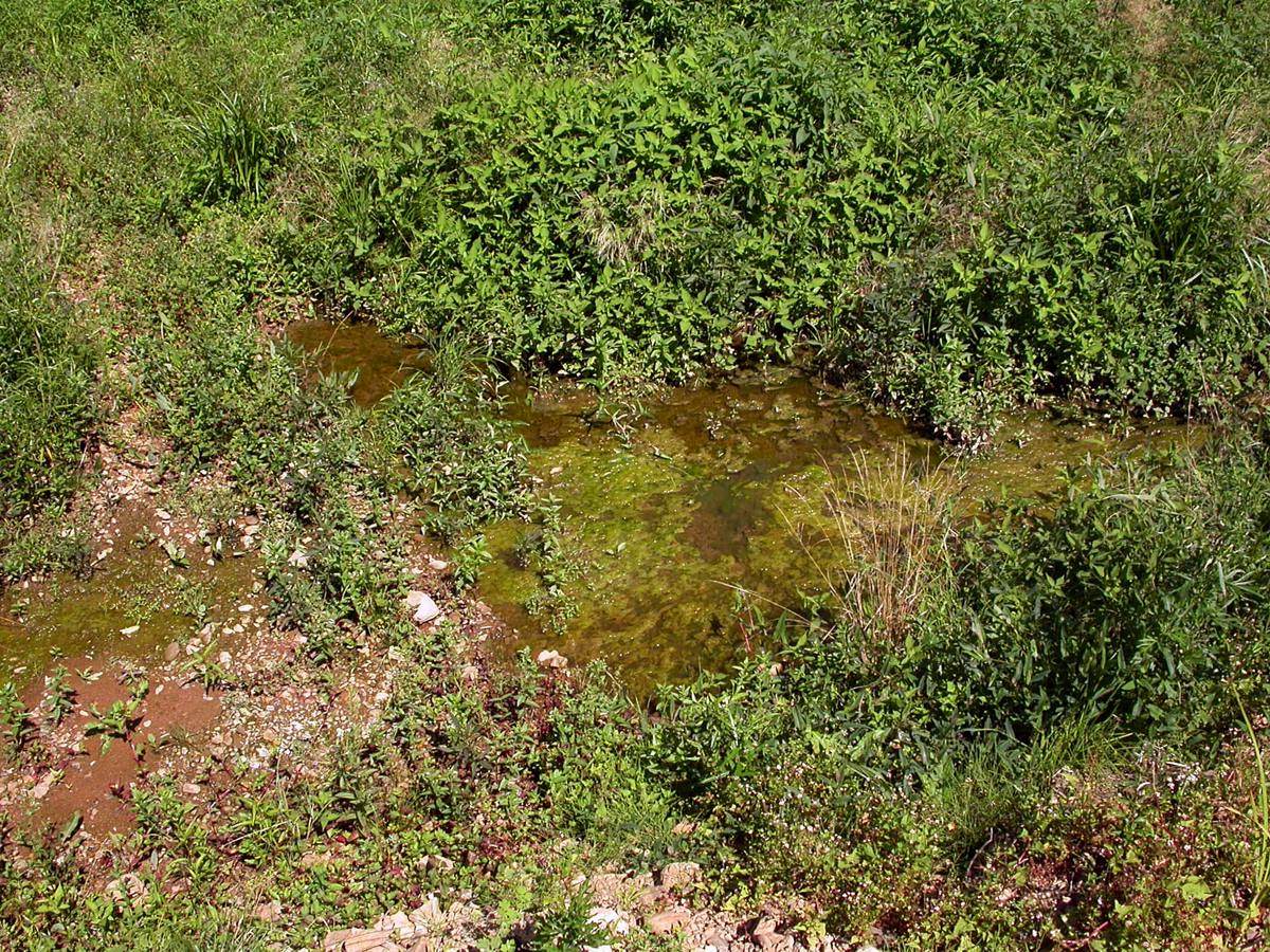 Дорога на Шамору, image of landscape/habitat.