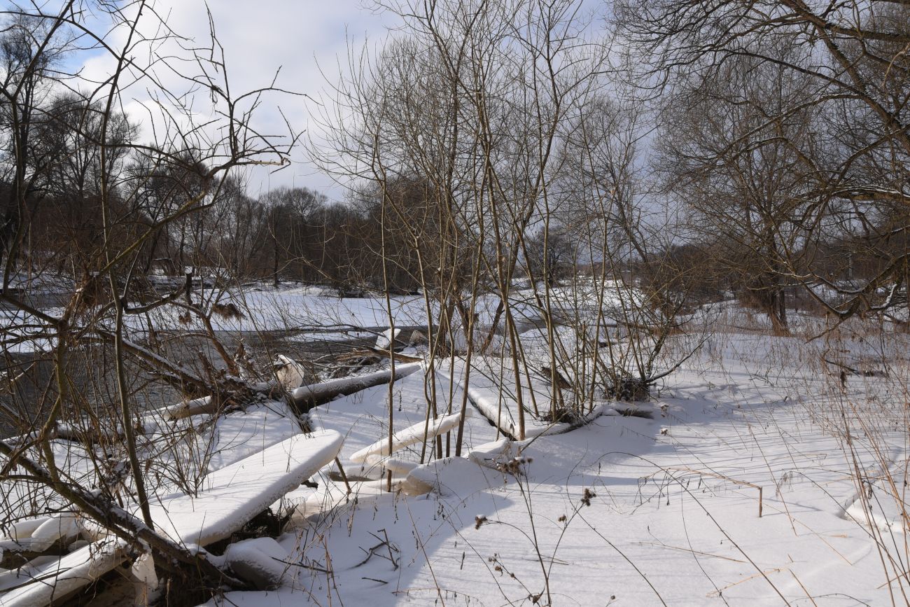 Окрестности деревни Дедюевка, image of landscape/habitat.