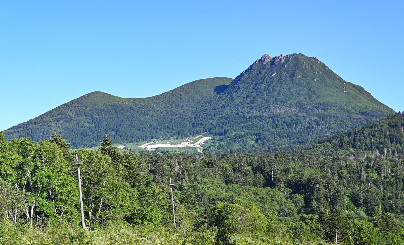 Вулкан Менделеева, image of landscape/habitat.