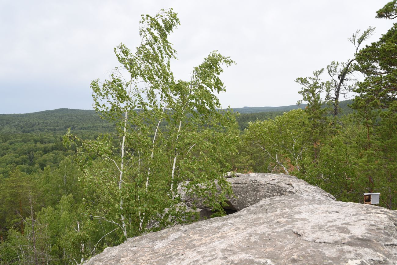 Малый Шихан и окрестности, image of landscape/habitat.