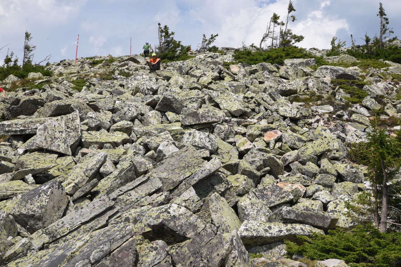 Круглица, image of landscape/habitat.