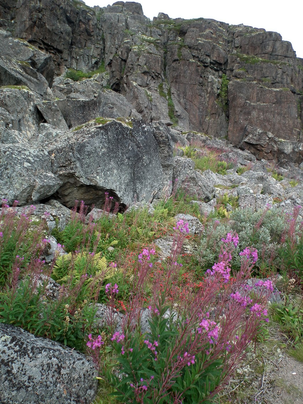 Дальние Зеленцы, image of landscape/habitat.