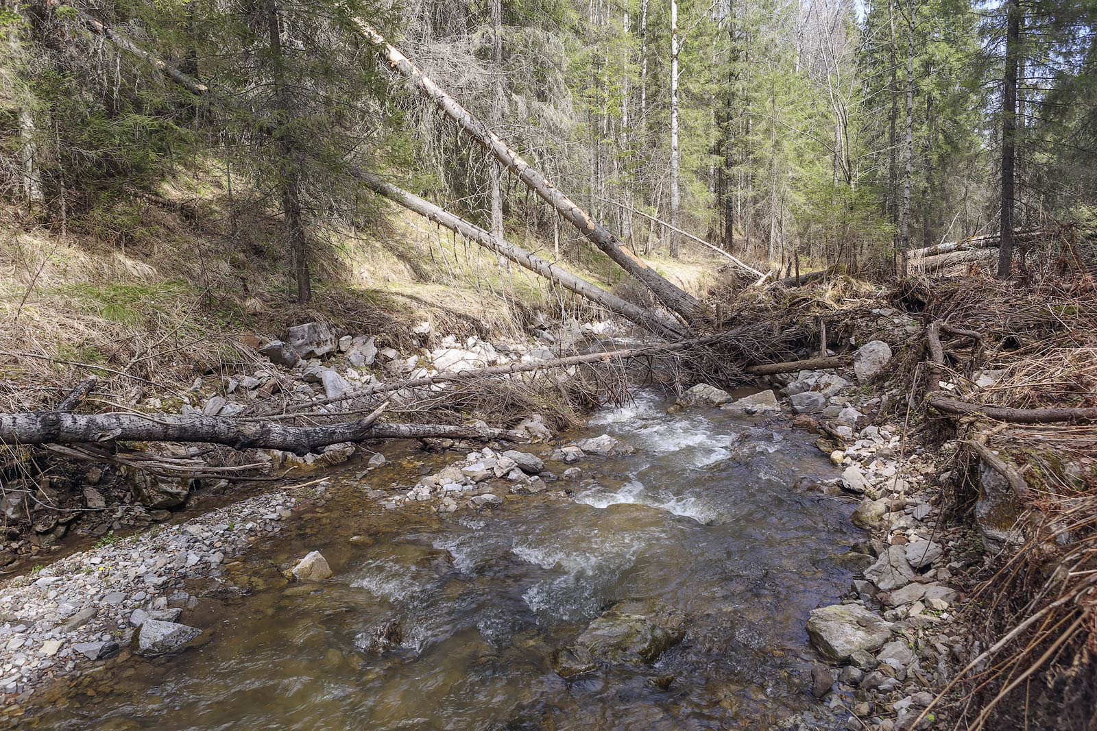 Камень Новиков и его окрестности, image of landscape/habitat.