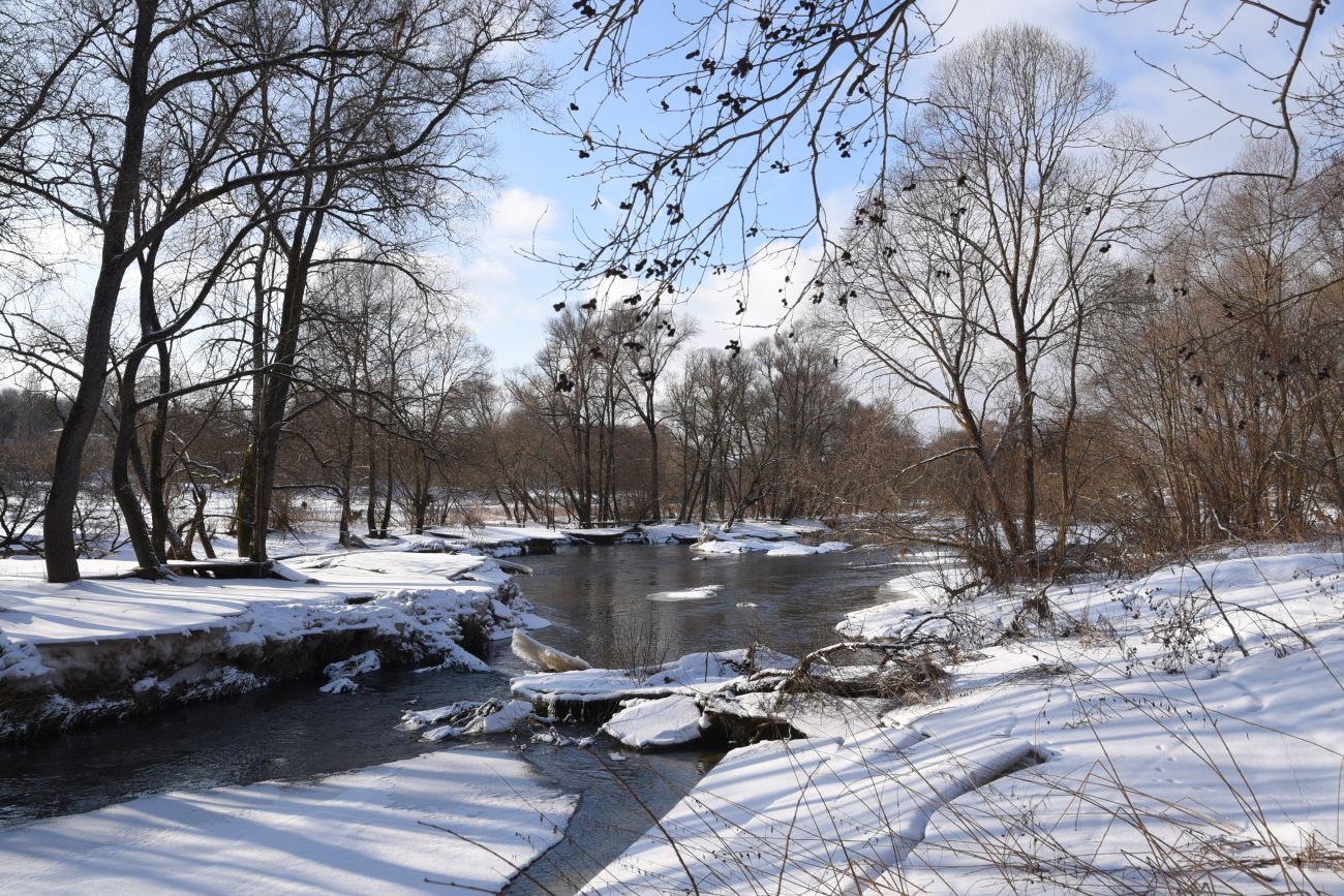 Окрестности деревни Дедюевка, image of landscape/habitat.