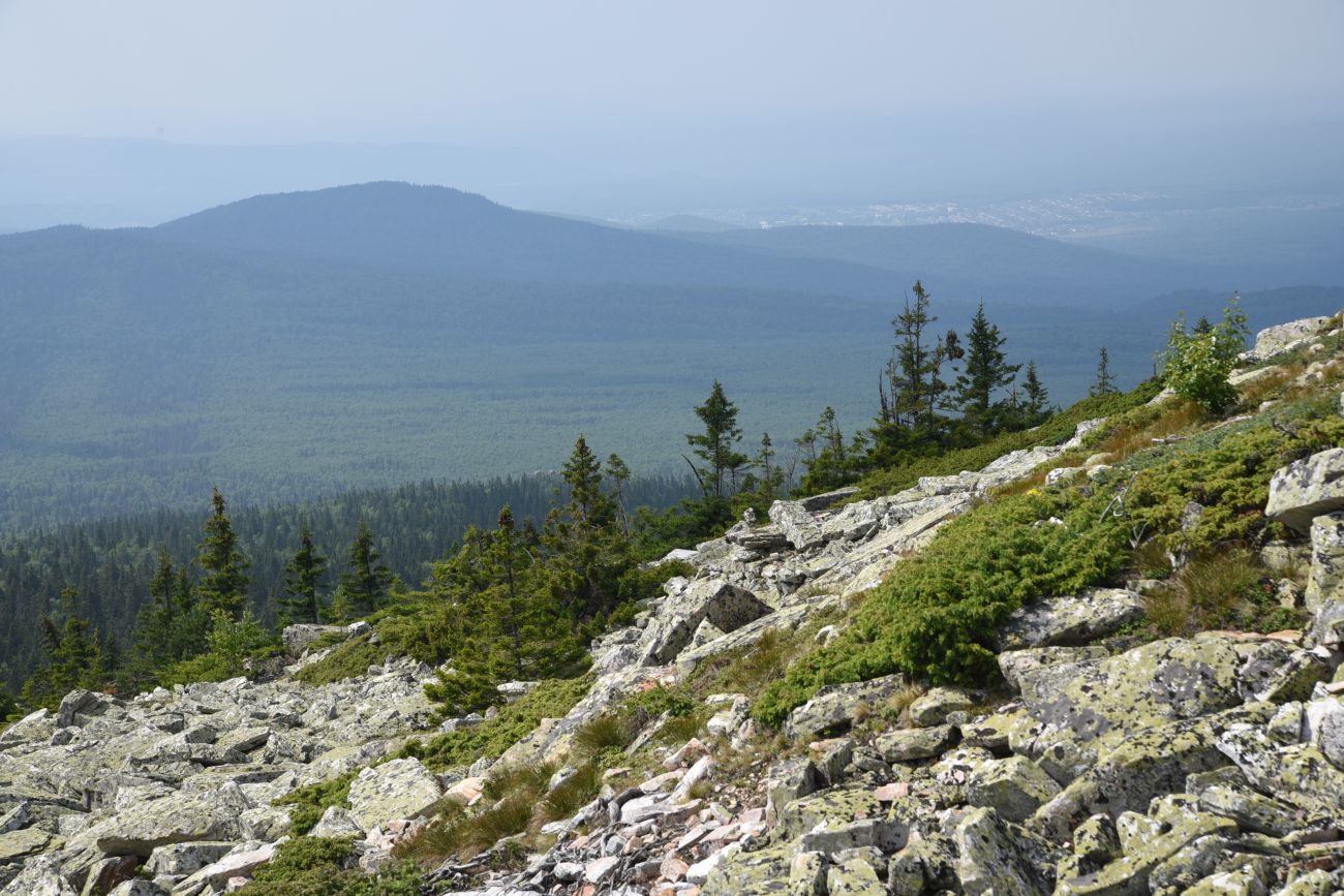 Круглица, image of landscape/habitat.