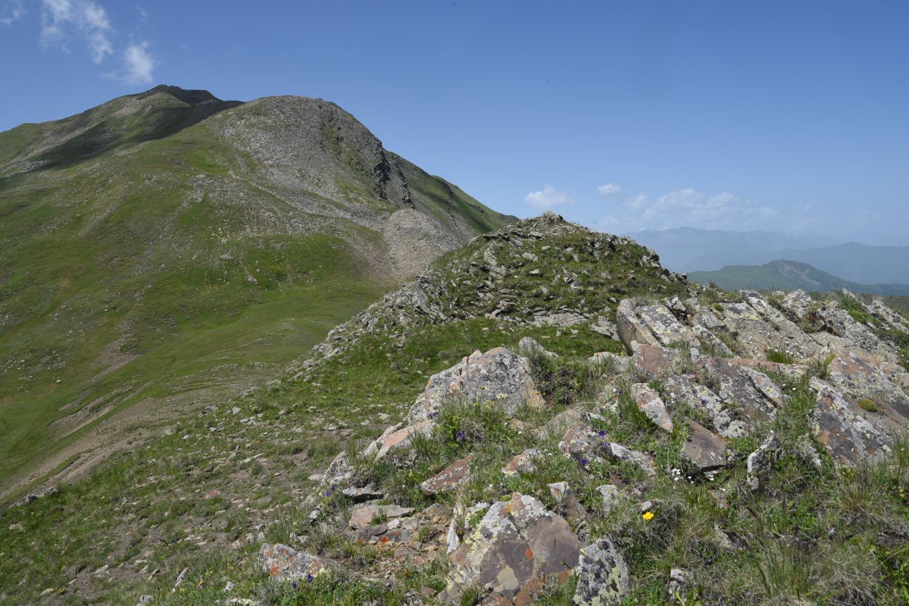 5 км от Цумандинского перевала, image of landscape/habitat.