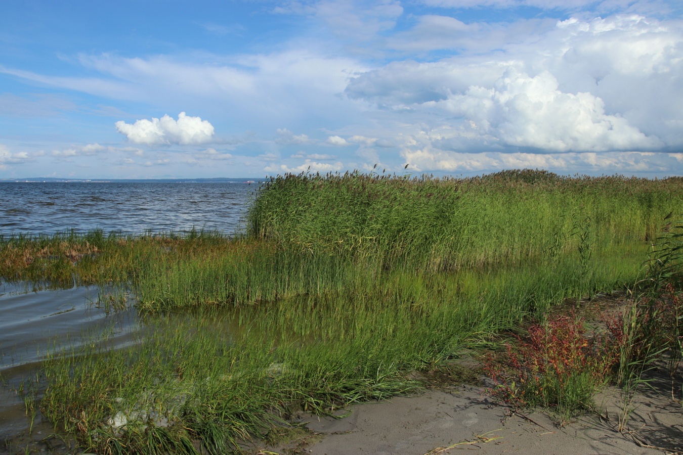 Окрестности деревни Выбье, изображение ландшафта.