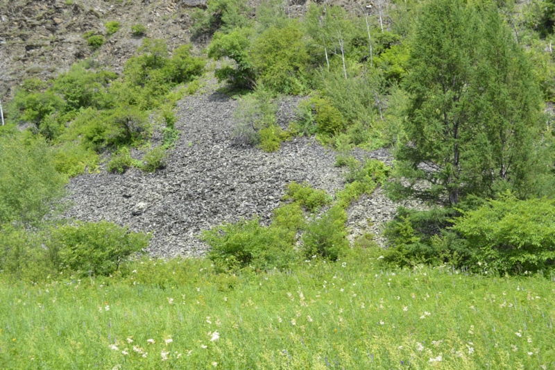 Усть-Стрелка и село Покровка, изображение ландшафта.