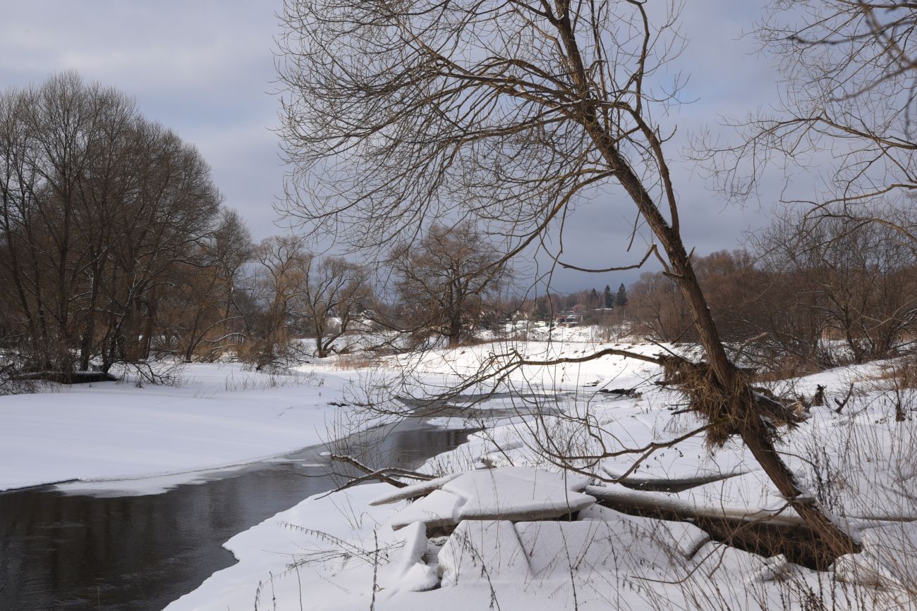 Окрестности деревни Дедюевка, image of landscape/habitat.