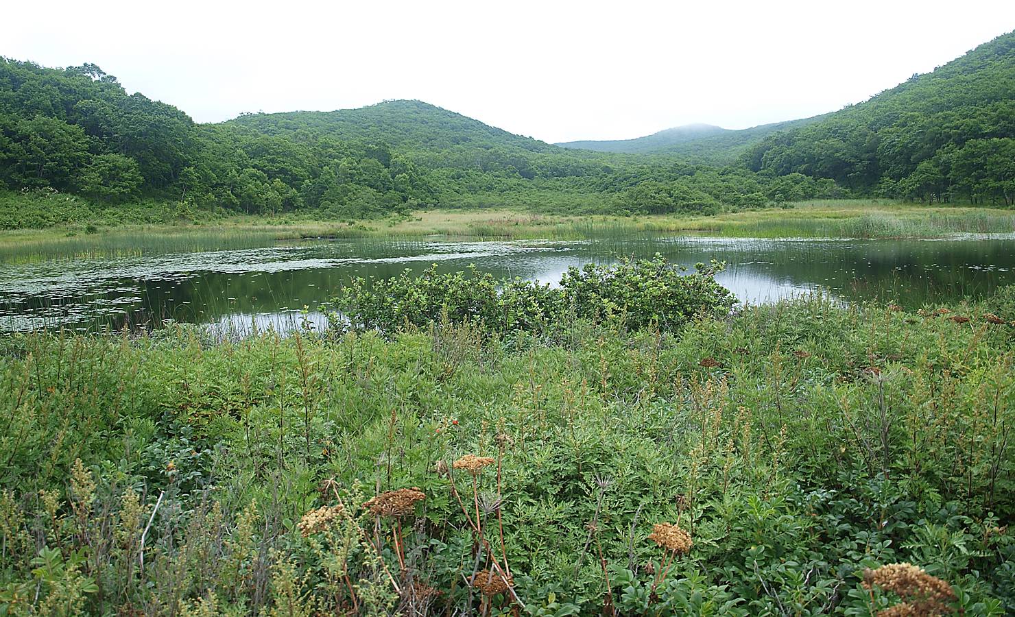 Бухта Красная Скала, image of landscape/habitat.