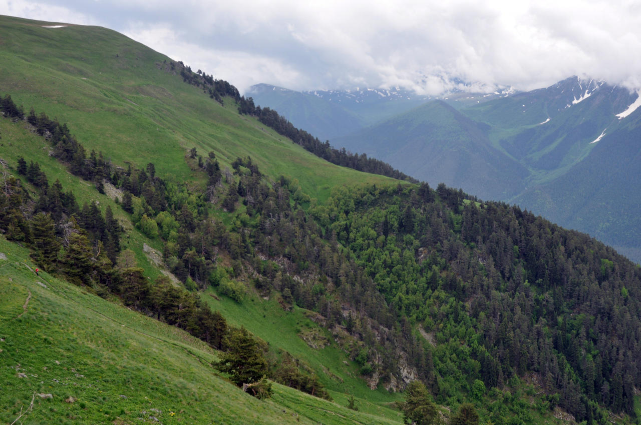 Хребет Абишира-Ахуба, image of landscape/habitat.