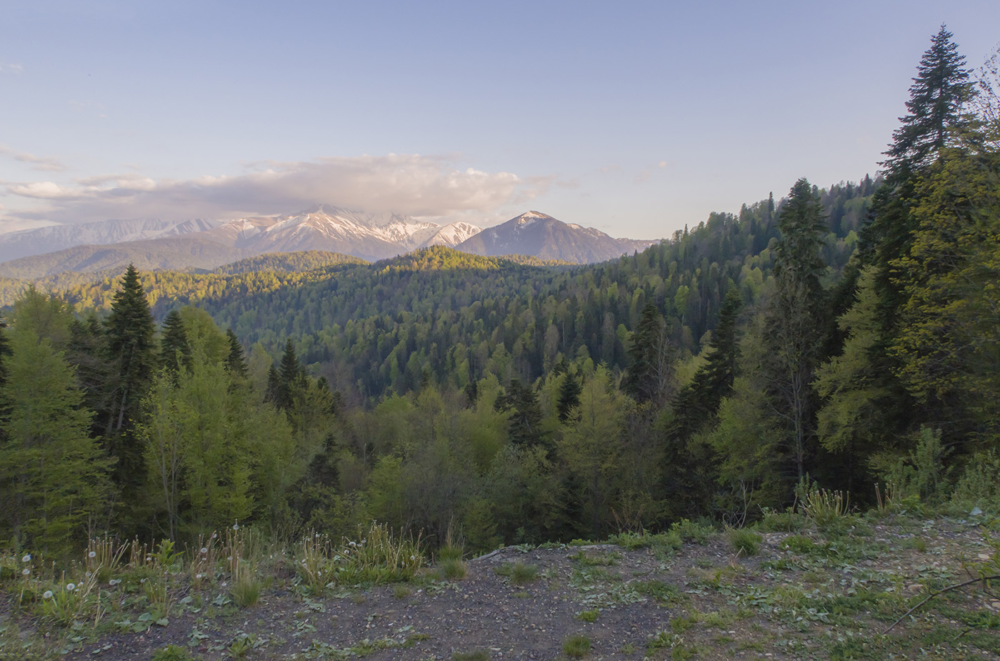 Желобная, image of landscape/habitat.