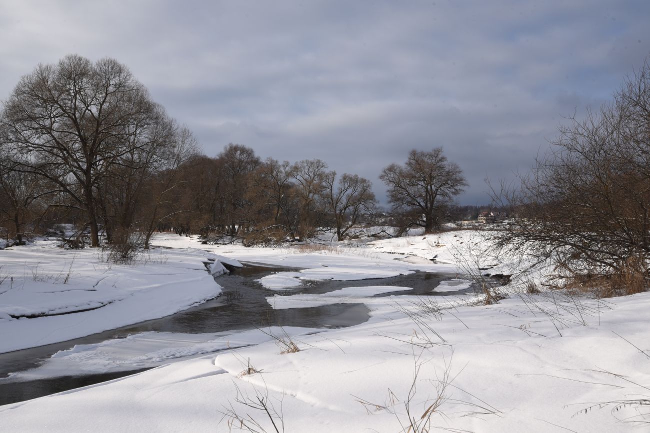 Окрестности деревни Дедюевка, image of landscape/habitat.