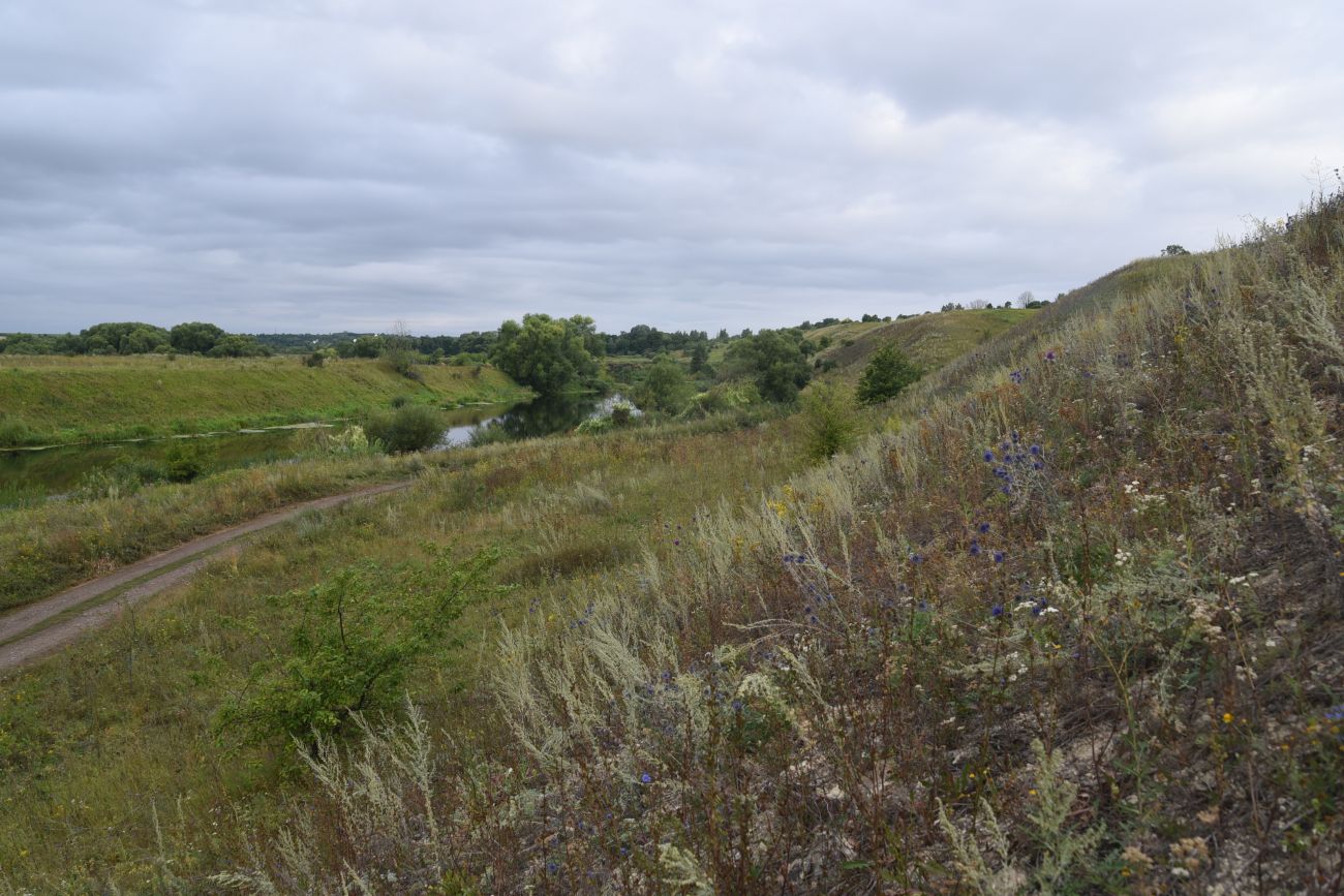 Степное урочище Горки, image of landscape/habitat.