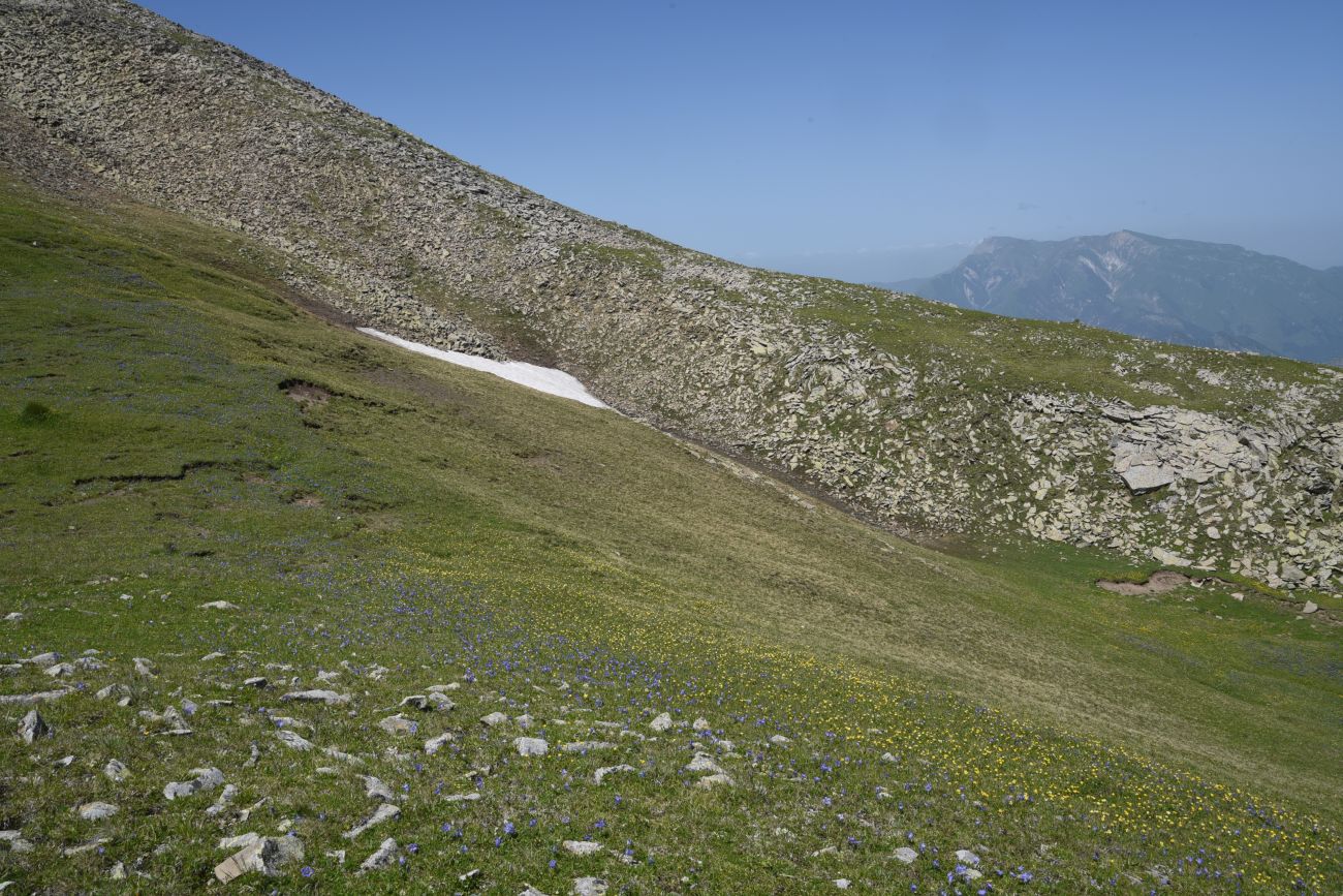 5 км от Цумандинского перевала, image of landscape/habitat.