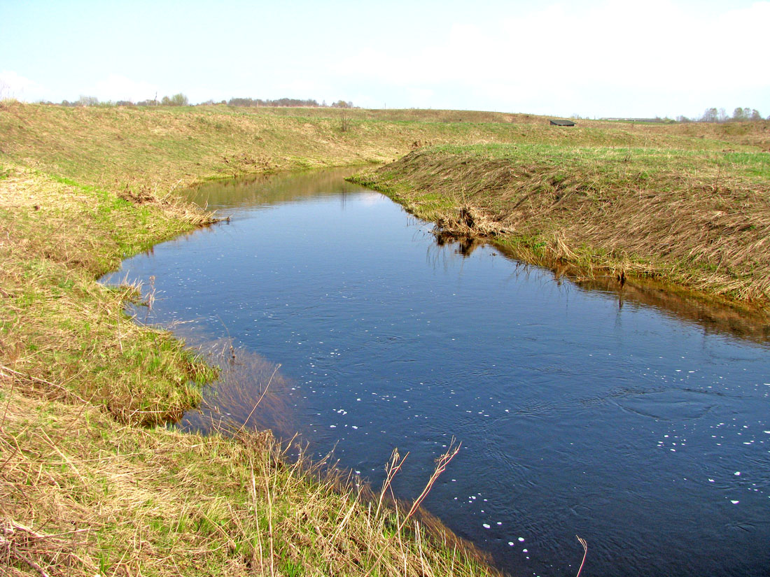 Ломиха, image of landscape/habitat.