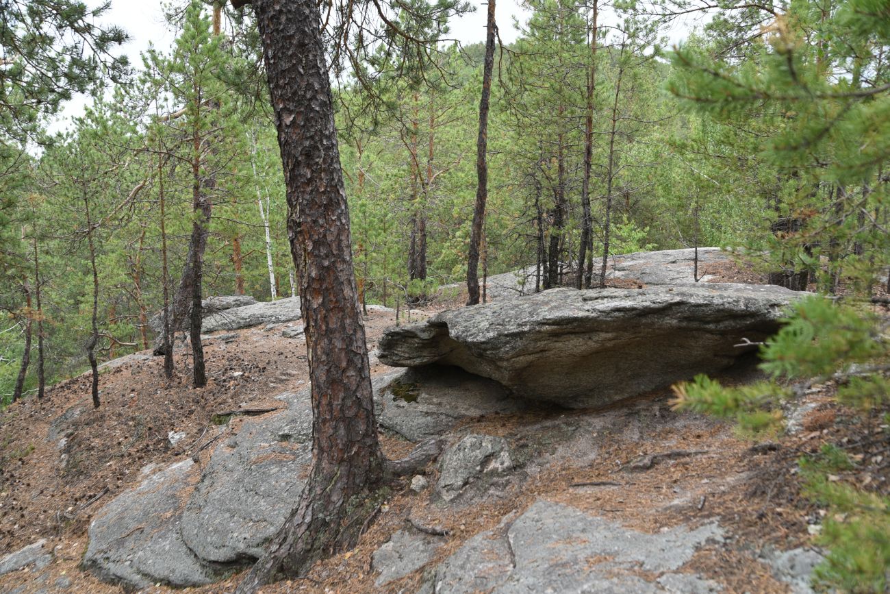 Малый Шихан и окрестности, image of landscape/habitat.