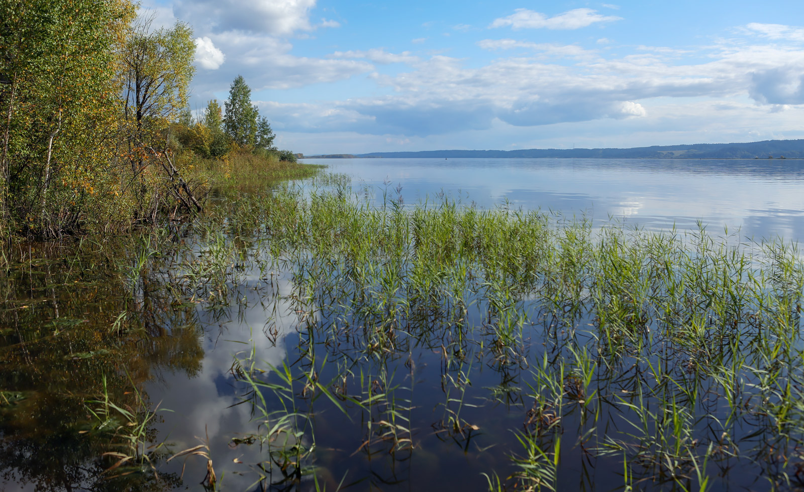 Кунчурихинский бор, image of landscape/habitat.