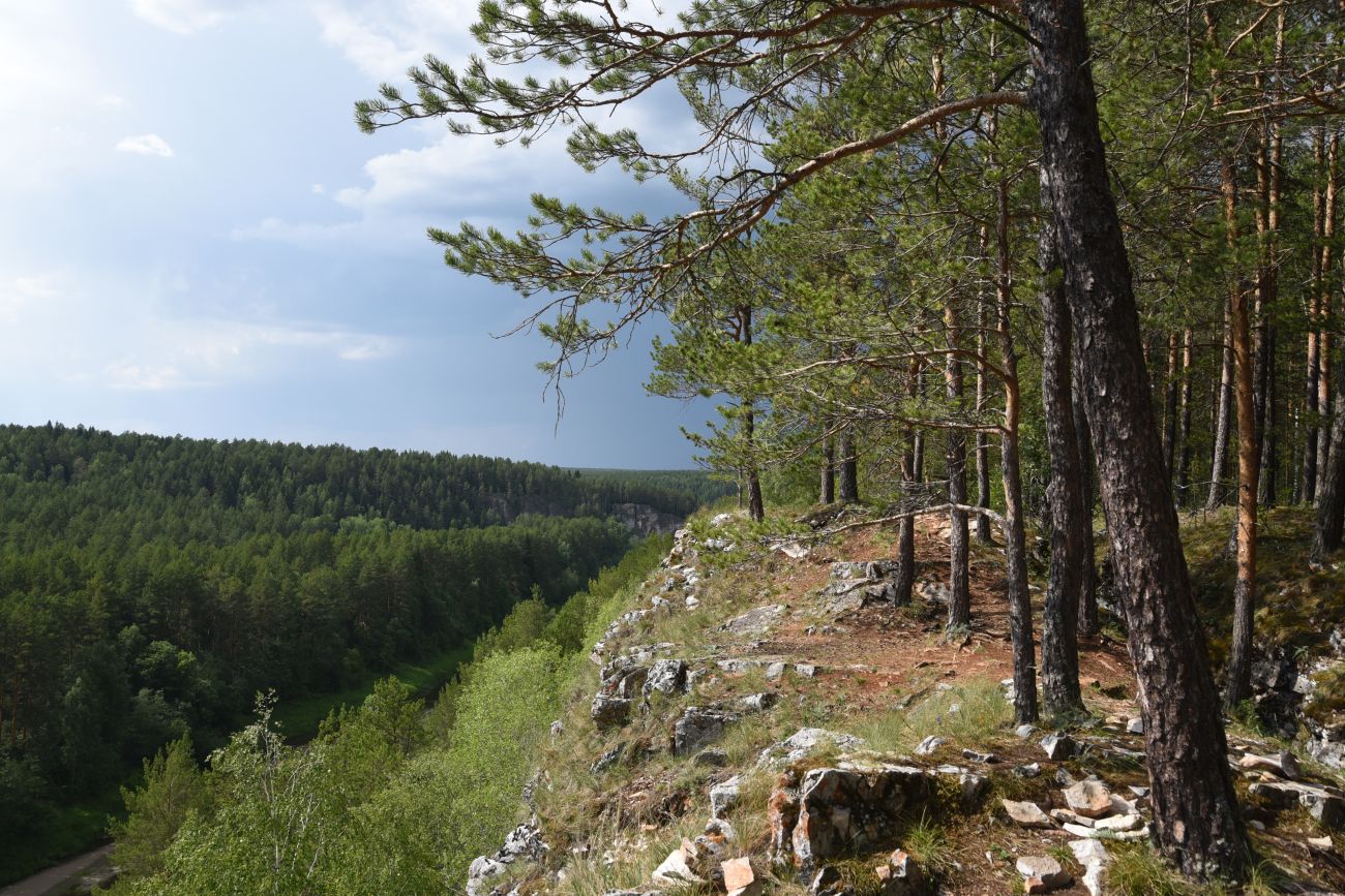 Скала Яман-Таш и окрестности, image of landscape/habitat.