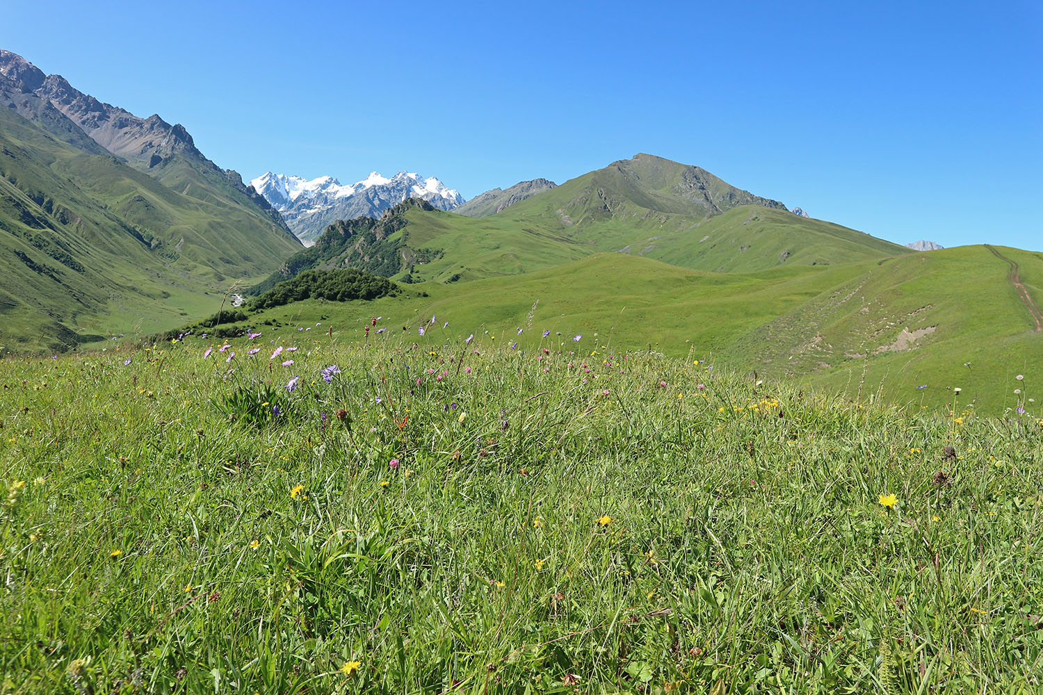 Мехтеген, image of landscape/habitat.